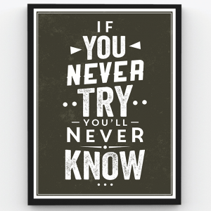If You Never Try You’ll Never Know – Motivational Premium Poster Frame