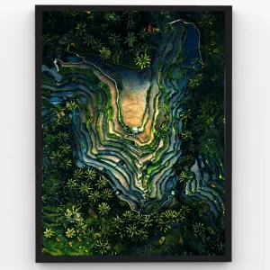 Mesmerizing Forest Pathway Drone Shot – Premium Poster Frame