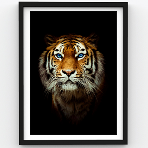 Calm Tiger – Activate the Beast – WildLife Premium Poster Frame