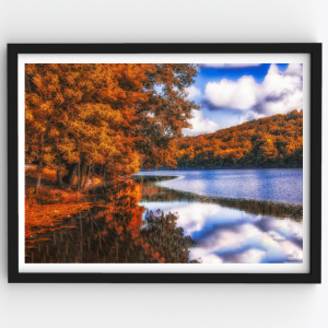 Nature Cherry Blossom and River – Peace of Mind Premium Poster Frame