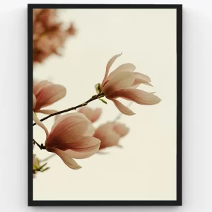 Boundless Beauty of Flower Petals – Peace of Mind Premium Poster Artwork